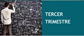 TERCER TRIMESTRE