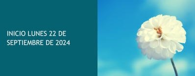 INICIO LUNES 22 DE SEPTIEMBRE DE 2024
