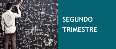 SEGUNDO TRIMESTRE