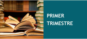 PRIMER TRIMESTRE