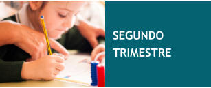 SEGUNDO TRIMESTRE