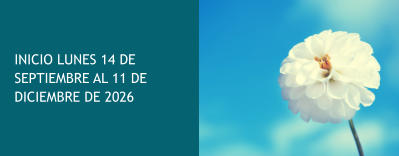 INICIO LUNES 14 DE SEPTIEMBRE AL 11 DE DICIEMBRE DE 2026