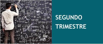 SEGUNDO TRIMESTRE